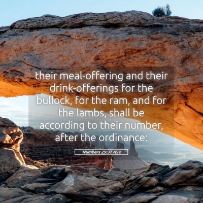 Picture 05 - Numbers 29:37 ASV - their meal-offering and their drink-offerings for - Bible Verse Picture