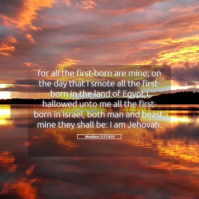 Picture 05 - Numbers 3:13 ASV - for all the first-born are mine; on the day that - Bible Verse Picture