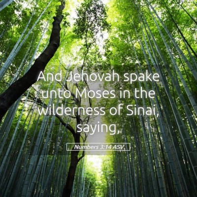 Picture 05 - Numbers 3:14 ASV - And Jehovah spake unto Moses in the wilderness of - Bible Verse Picture