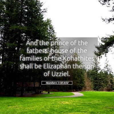 Picture 05 - Numbers 3:30 ASV - And the prince of the fathers' house of the - Bible Verse Picture