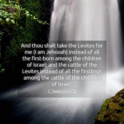 Picture 05 - Numbers 3:41 ASV - And thou shalt take the Levites for me (I am - Bible Verse Picture