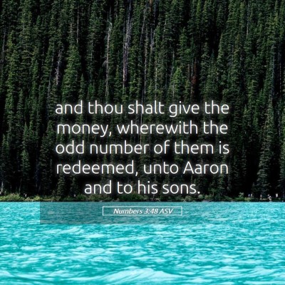 Picture 05 - Numbers 3:48 ASV - and thou shalt give the money, wherewith the odd - Bible Verse Picture
