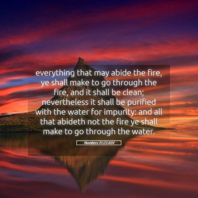 Picture 05 - Numbers 31:23 ASV - everything that may abide the fire, ye shall make - Bible Verse Picture
