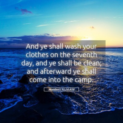 Picture 05 - Numbers 31:24 ASV - And ye shall wash your clothes on the seventh - Bible Verse Picture