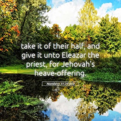 Picture 05 - Numbers 31:29 ASV - take it of their half, and give it unto Eleazar - Bible Verse Picture