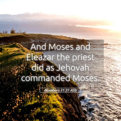 Picture 05 - Numbers 31:31 ASV - And Moses and Eleazar the priest did as Jehovah - Bible Verse Picture