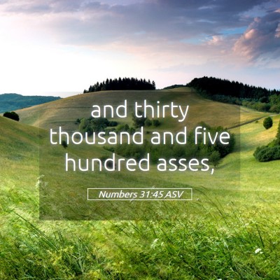 Picture 05 - Numbers 31:45 ASV - and thirty thousand and five hundred - Bible Verse Picture