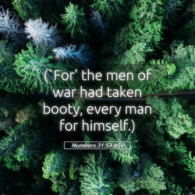 Picture 05 - Numbers 31:53 ASV - (`For' the men of war had taken booty, every man - Bible Verse Picture