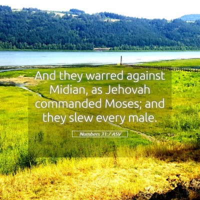 Picture 05 - Numbers 31:7 ASV - And they warred against Midian, as Jehovah - Bible Verse Picture