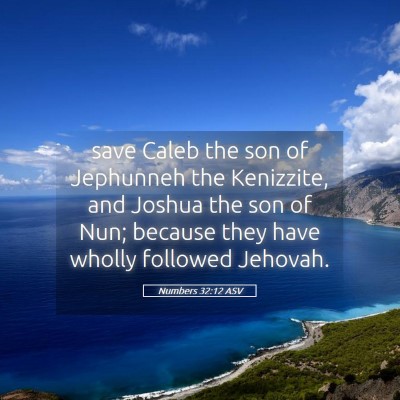 Picture 05 - Numbers 32:12 ASV - save Caleb the son of Jephunneh the Kenizzite, - Bible Verse Picture