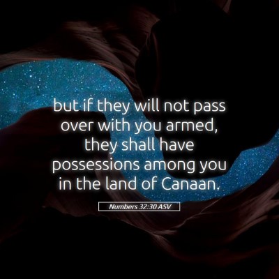 Picture 05 - Numbers 32:30 ASV - but if they will not pass over with you armed, - Bible Verse Picture