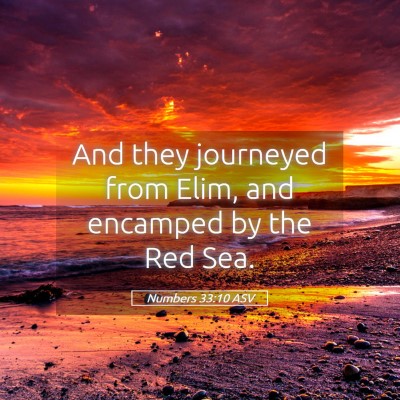 Picture 05 - Numbers 33:10 ASV - And they journeyed from Elim, and encamped by the - Bible Verse Picture