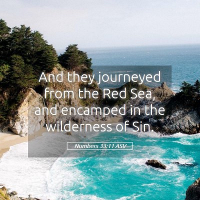 Picture 05 - Numbers 33:11 ASV - And they journeyed from the Red Sea, and encamped - Bible Verse Picture