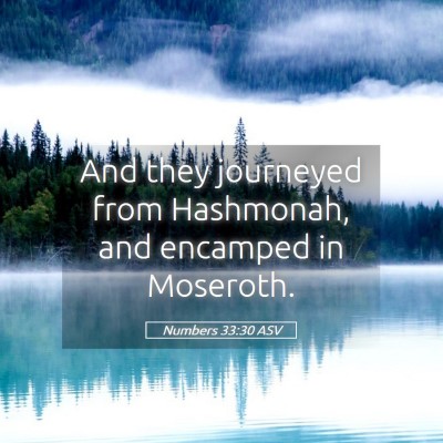 Picture 05 - Numbers 33:30 ASV - And they journeyed from Hashmonah, and encamped - Bible Verse Picture