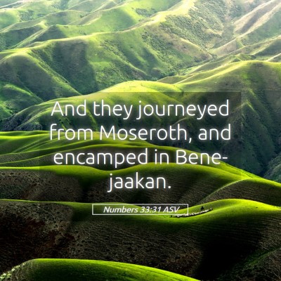 Picture 05 - Numbers 33:31 ASV - And they journeyed from Moseroth, and encamped in - Bible Verse Picture