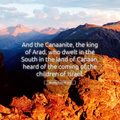 Picture 05 - Numbers 33:40 ASV - And the Canaanite, the king of Arad, who dwelt in - Bible Verse Picture