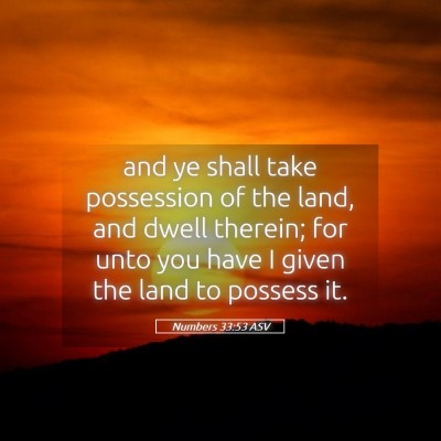 Picture 05 - Numbers 33:53 ASV - and ye shall take possession of the land, and - Bible Verse Picture