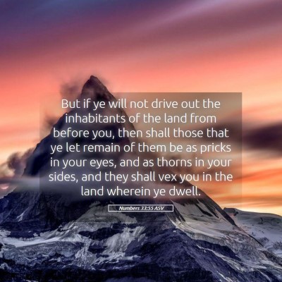 Picture 05 - Numbers 33:55 ASV - But if ye will not drive out the inhabitants of - Bible Verse Picture