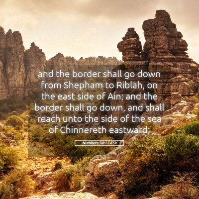 Picture 05 - Numbers 34:11 ASV - and the border shall go down from Shepham to - Bible Verse Picture