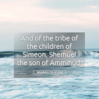 Picture 05 - Numbers 34:20 ASV - And of the tribe of the children of Simeon, - Bible Verse Picture