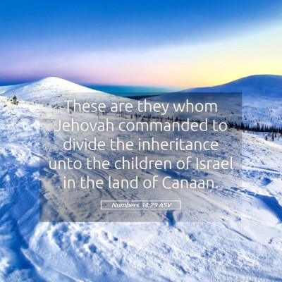 Picture 05 - Numbers 34:29 ASV - These are they whom Jehovah commanded to divide - Bible Verse Picture