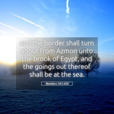 Picture 05 - Numbers 34:5 ASV - and the border shall turn about from Azmon unto - Bible Verse Picture