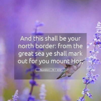 Picture 05 - Numbers 34:7 ASV - And this shall be your north border: from the - Bible Verse Picture