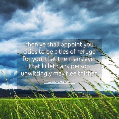 Picture 05 - Numbers 35:11 ASV - then ye shall appoint you cities to be cities of - Bible Verse Picture