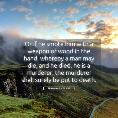 Picture 05 - Numbers 35:18 ASV - Or if he smote him with a weapon of wood in the - Bible Verse Picture