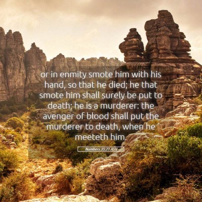 Picture 05 - Numbers 35:21 ASV - or in enmity smote him with his hand, so that he - Bible Verse Picture