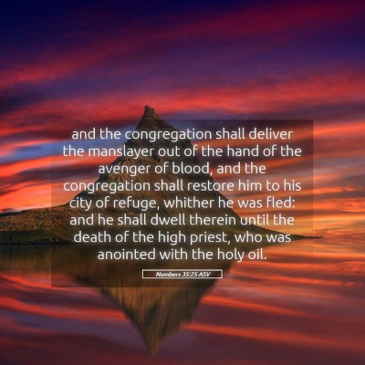 Picture 05 - Numbers 35:25 ASV - and the congregation shall deliver the manslayer - Bible Verse Picture