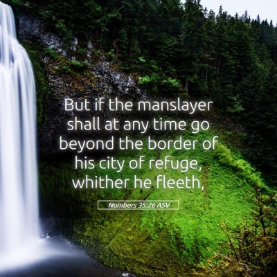 Picture 05 - Numbers 35:26 ASV - But if the manslayer shall at any time go beyond - Bible Verse Picture