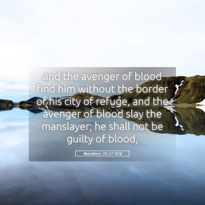 Picture 05 - Numbers 35:27 ASV - and the avenger of blood find him without the - Bible Verse Picture