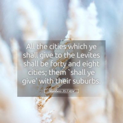 Picture 05 - Numbers 35:7 ASV - All the cities which ye shall give to the Levites - Bible Verse Picture