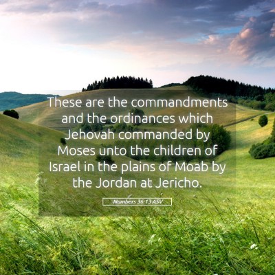 Picture 05 - Numbers 36:13 ASV - These are the commandments and the ordinances - Bible Verse Picture