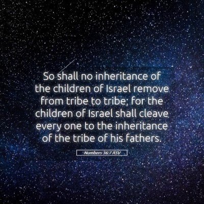Picture 05 - Numbers 36:7 ASV - So shall no inheritance of the children of Israel - Bible Verse Picture