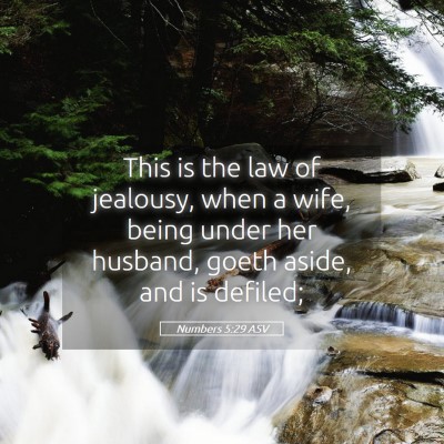 Picture 05 - Numbers 5:29 ASV - This is the law of jealousy, when a wife, being - Bible Verse Picture