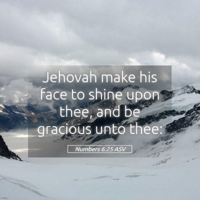 Picture 05 - Numbers 6:25 ASV - Jehovah make his face to shine upon thee, and be - Bible Verse Picture