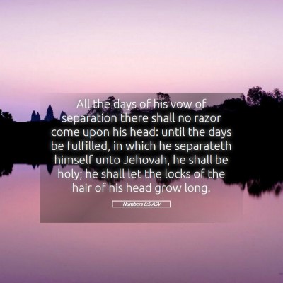 Picture 05 - Numbers 6:5 ASV - All the days of his vow of separation there shall - Bible Verse Picture