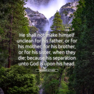 Picture 05 - Numbers 6:7 ASV - He shall not make himself unclean for his father, - Bible Verse Picture