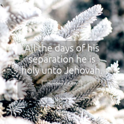 Picture 05 - Numbers 6:8 ASV - All the days of his separation he is holy unto - Bible Verse Picture