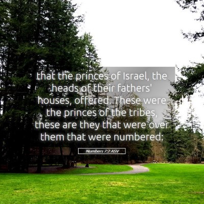 Picture 05 - Numbers 7:2 ASV - that the princes of Israel, the heads of their - Bible Verse Picture