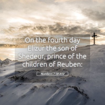 Picture 05 - Numbers 7:30 ASV - On the fourth day Elizur the son of Shedeur, - Bible Verse Picture