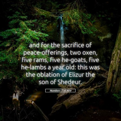 Picture 05 - Numbers 7:35 ASV - and for the sacrifice of peace-offerings, two - Bible Verse Picture