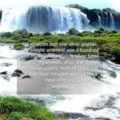Picture 05 - Numbers 7:43 ASV - his oblation was one silver platter, the weight - Bible Verse Picture