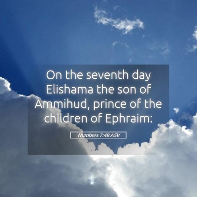 Picture 05 - Numbers 7:48 ASV - On the seventh day Elishama the son of Ammihud, - Bible Verse Picture