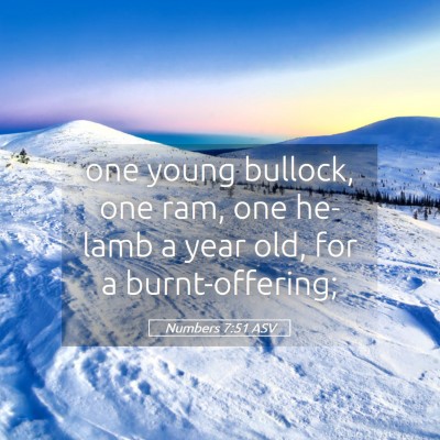 Picture 05 - Numbers 7:51 ASV - one young bullock, one ram, one he-lamb a year - Bible Verse Picture