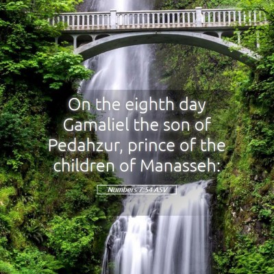 Picture 05 - Numbers 7:54 ASV - On the eighth day Gamaliel the son of Pedahzur, - Bible Verse Picture