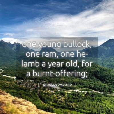 Picture 05 - Numbers 7:57 ASV - one young bullock, one ram, one he-lamb a year - Bible Verse Picture