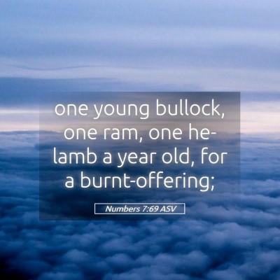 Picture 05 - Numbers 7:69 ASV - one young bullock, one ram, one he-lamb a year - Bible Verse Picture